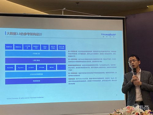 星環科技 深耕技術咨詢領域的專家